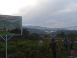 Pengembangan Ketahanan Pangan Melalui Penanaman Rica, Sayuran, dan Tomat Di Desa Bolapapu.