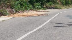 Jalan Trans Palu–Palolo Berlubang, Warga Minta Pemerintah Segera Bertindak