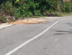 Jalan Trans Palu–Palolo Berlubang, Warga Minta Pemerintah Segera Bertindak