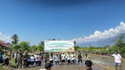 Tanam Perdana Padi Sawah di Desa Maranata, BPP Sigi Kota Usung Slogan “Kerja Tanpa Tapi, Lakukan Tanpa Nanti”