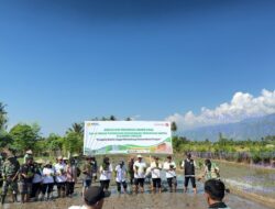 Tanam Perdana Padi Sawah di Desa Maranata, BPP Sigi Kota Usung Slogan “Kerja Tanpa Tapi, Lakukan Tanpa Nanti”