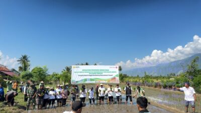 Tanam Perdana Padi Sawah di Desa Maranata, BPP Sigi Kota Usung Slogan “Kerja Tanpa Tapi, Lakukan Tanpa Nanti”